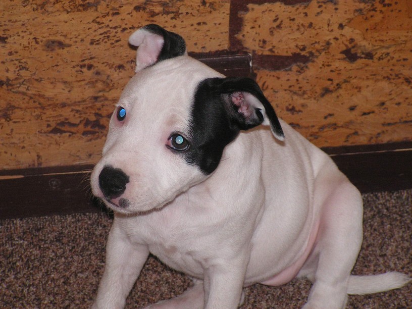 PICT0027.JPG