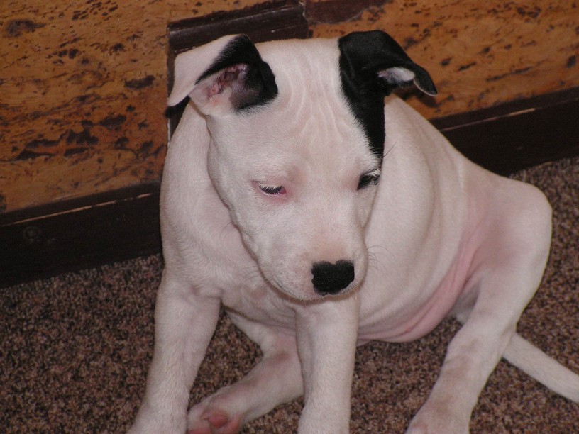 PICT0029.JPG