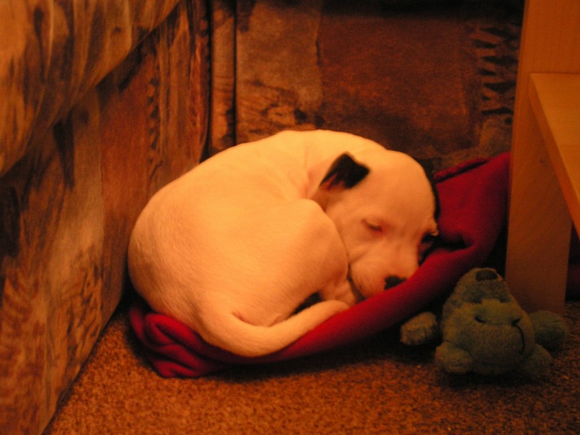 PICT0016.JPG