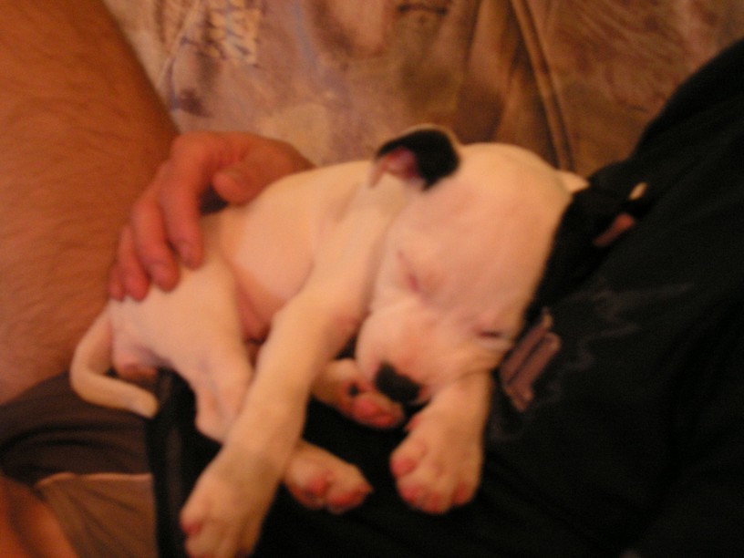 PICT0039.JPG