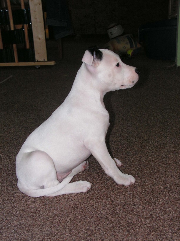 PICT0079.JPG